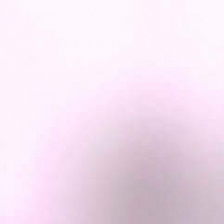P 0006